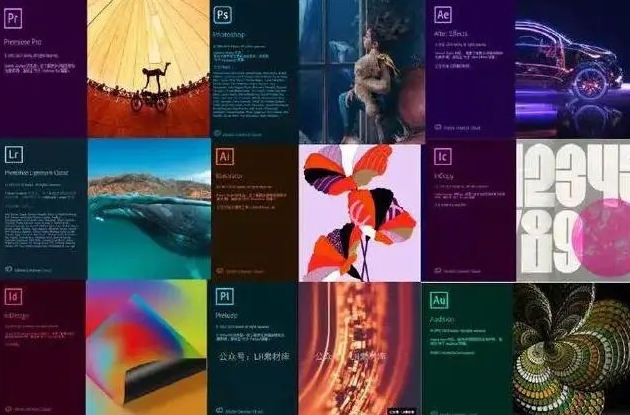 Adobe 2020全家桶 Win版+Mac版-星海资源网-专注优质资源分享-软件教程,源码下载,技术教程,活动线报,绿色软件